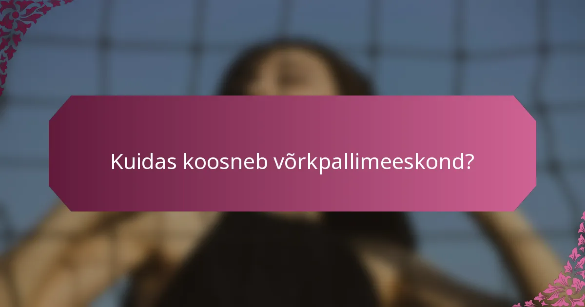 Kuidas koosneb võrkpallimeeskond?